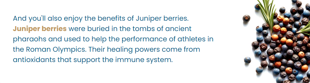 Juniper Berries